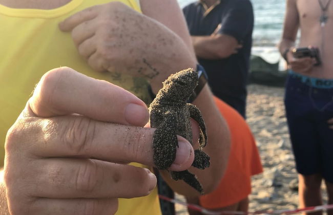 Kyrenia Sunset Bungalow - Foto 14