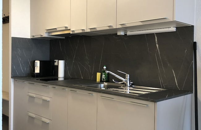 Amazing Studio In Lausanne Close To Epfl and Unil - Foto 7