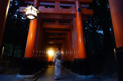 Foto 43 - Kyo-machiya Stay WAKA Fushimiinari-tei