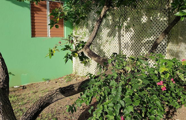 The Greenside Cottages - Foto 26