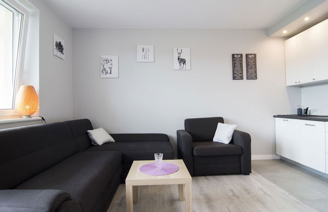 Apartamenty Sun & Snow Kamienna - Foto 2