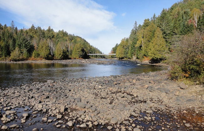 Domaine du parc de la forêt ouareau - Photo 40