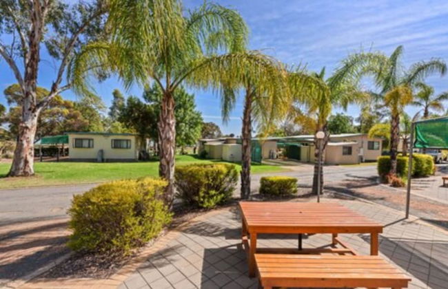Discovery Parks - Lake Bonney - Foto 71