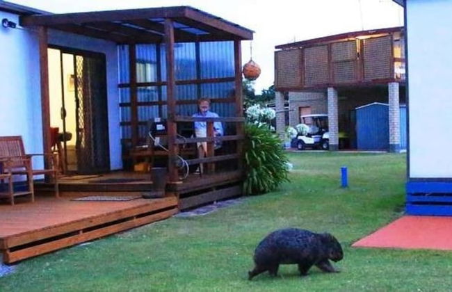 BIG4 Kelso Sands Holiday Park - Foto 1