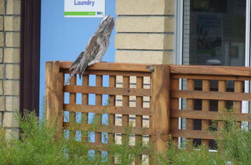 Photo 27 - BIG4 Kelso Sands Holiday Park