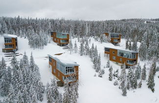 Photo 1 - Les Chalets Forêt