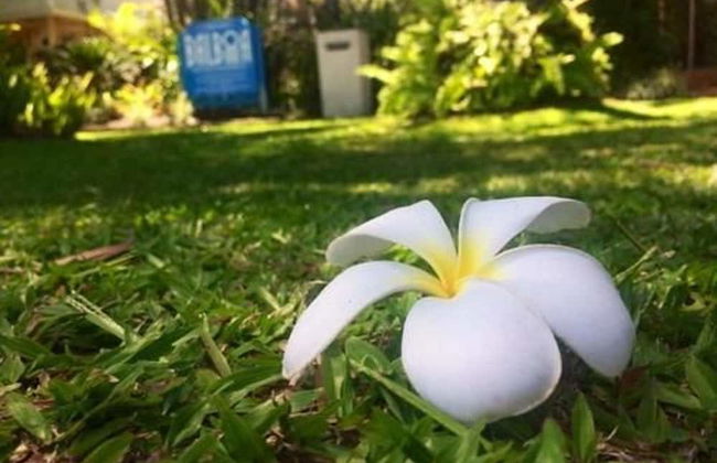 Balboa Holiday Apartments - Foto 40