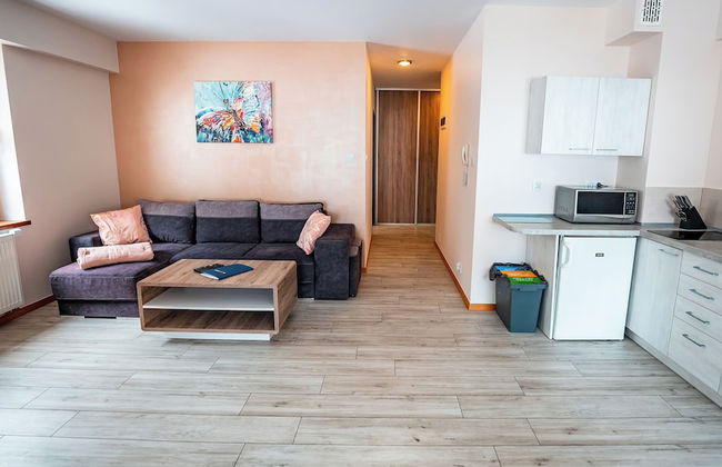 Apartamenty Sun & Snow Zielony Las - Foto 53