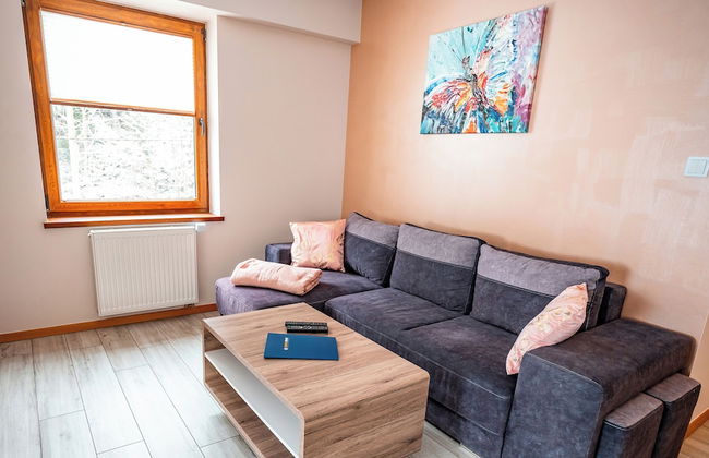 Apartamenty Sun & Snow Zielony Las - Foto 55