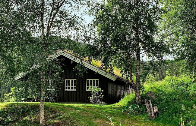 8 Person Holiday Home in Flatdal - Photo 14