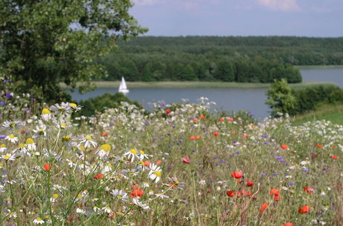 Photo 28 - Kamienny Ogród Holiday Park