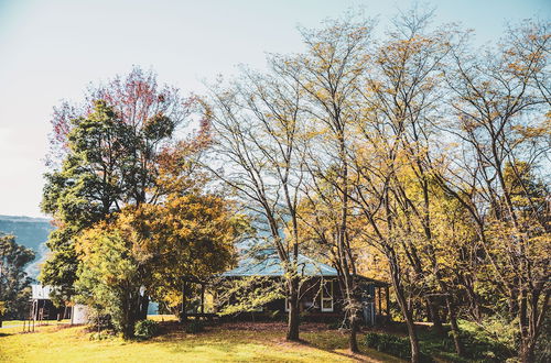 Photo 37 - Barranca Kangaroo Valley