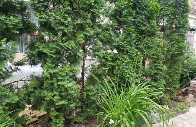 Downtown Duplex - Foto 59