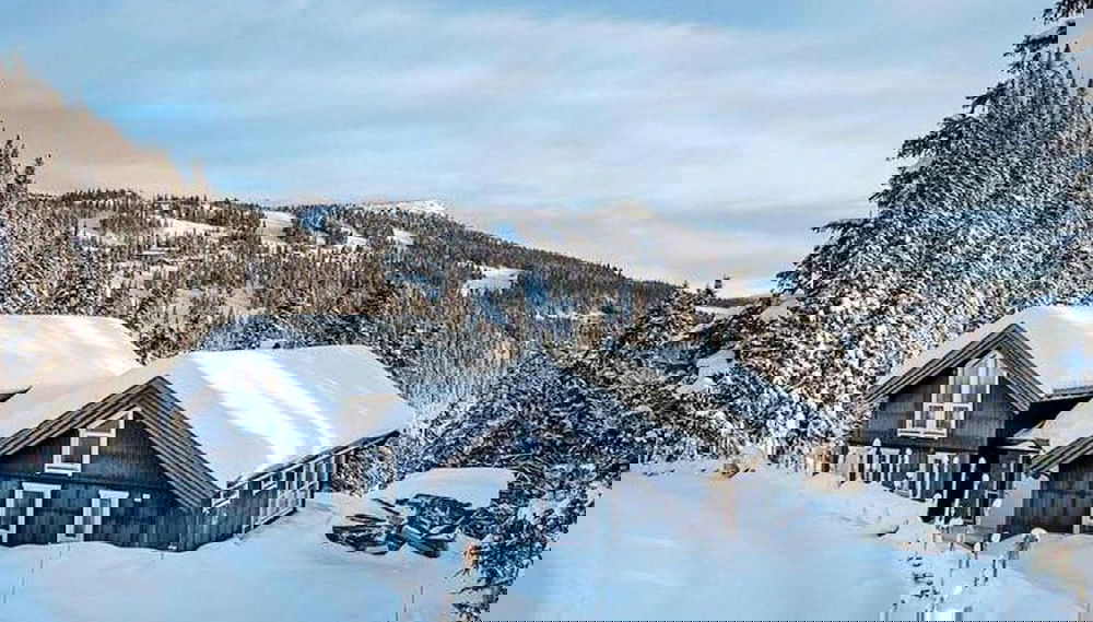 Primary image