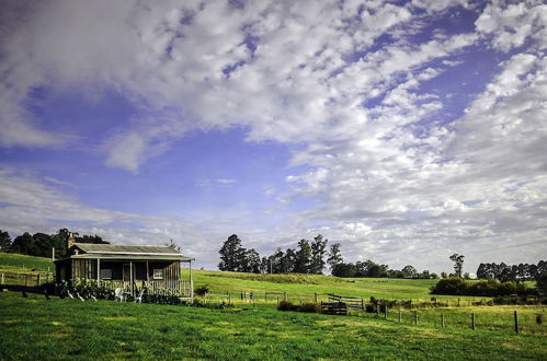 Photo 3 - Wines for Joanie Cottage