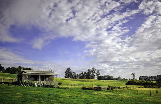 Photo 3 - Wines for Joanie Cottage