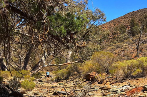 Photo 54 - Bendleby Ranges