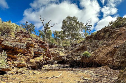 Photo 79 - Bendleby Ranges