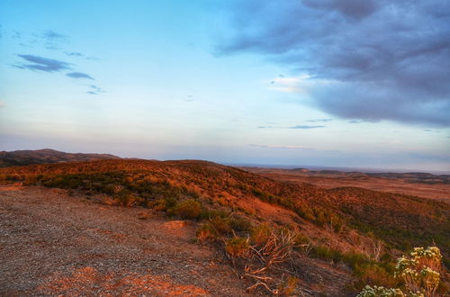 Photo 58 - Bendleby Ranges