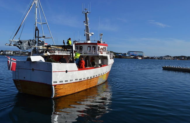 Sjøstrand Rorbuer - Photo 17