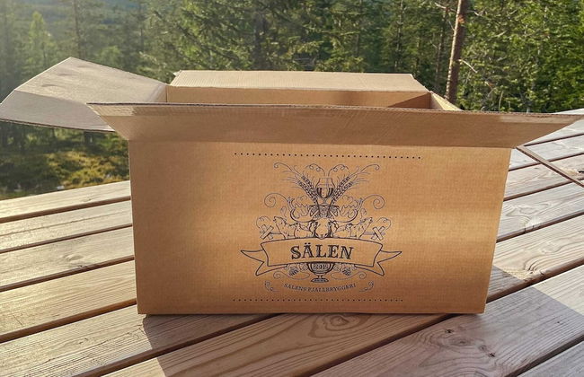 Holiday Home in Sälen - Foto 25