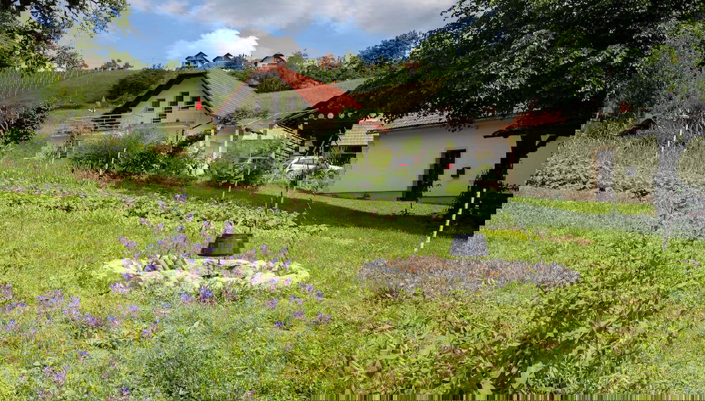 Imagem principal