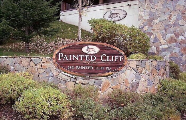 Painted Cliff by Whistler Premier - Foto 23