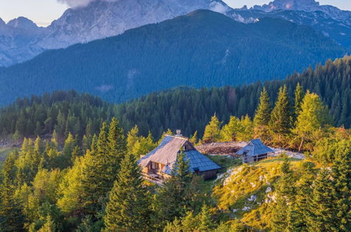 Photo 22 - Chalet Gorenjka - Velika Planina