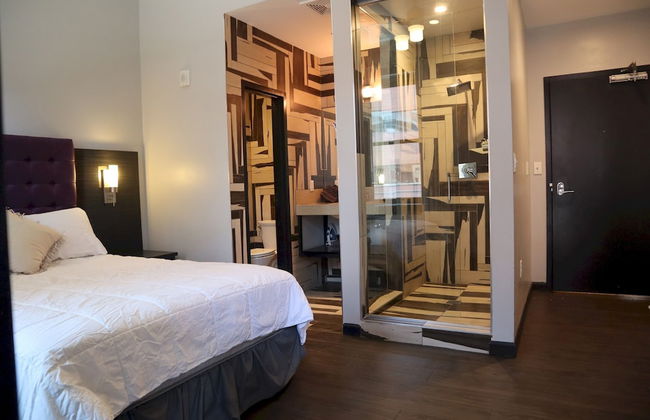 Perfect En Suite Studio - Foto 3