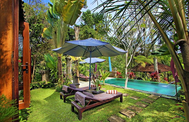 The Mahogany Villa - Photo 60