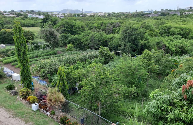 LambLion Holiday Apartments - Foto 17