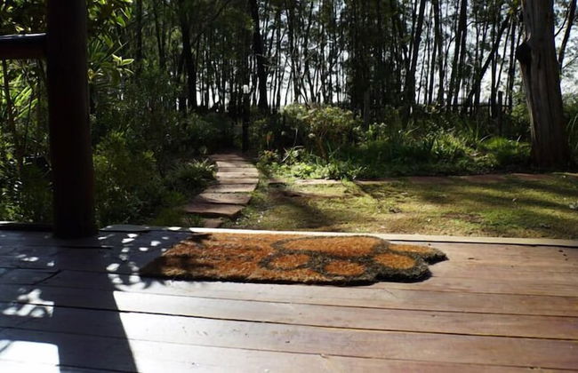 Woodland Gardens - Foto 44
