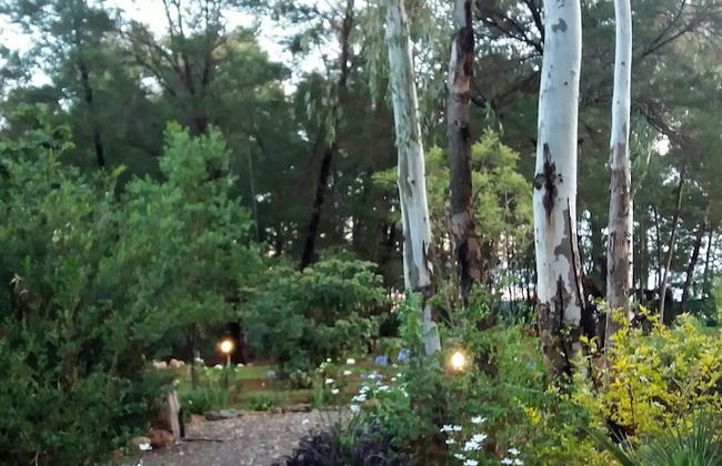 Woodland Gardens - Foto 69