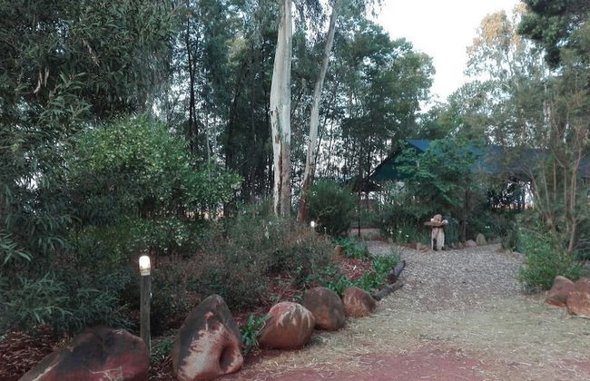 Woodland Gardens - Foto 6