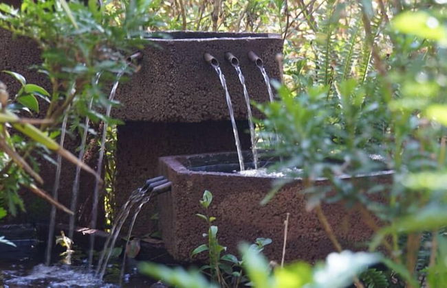 Woodland Gardens - Foto 50
