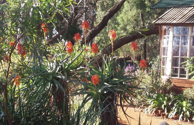 Woodland Gardens - Foto 4