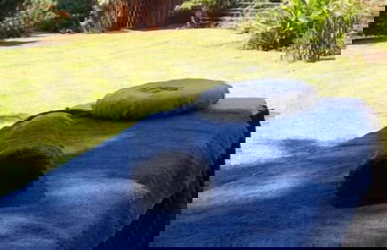 Woodland Gardens - Foto 58