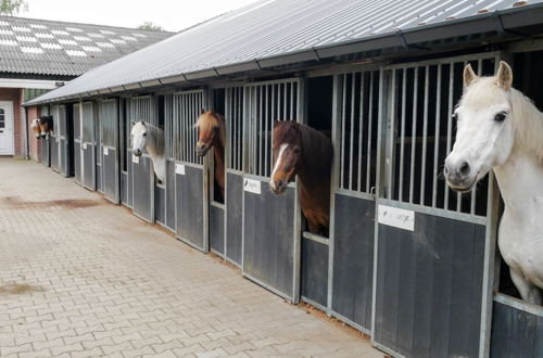 Photo 47 - Luxurious Apartment in Eibergen Near a Riding School