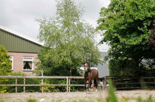 Photo 48 - Luxurious Apartment in Eibergen Near a Riding School