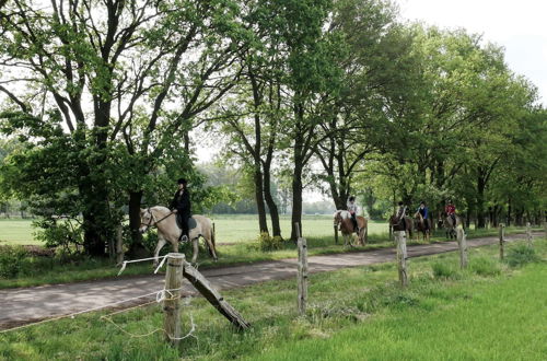 Photo 51 - Luxurious Apartment in Eibergen Near a Riding School