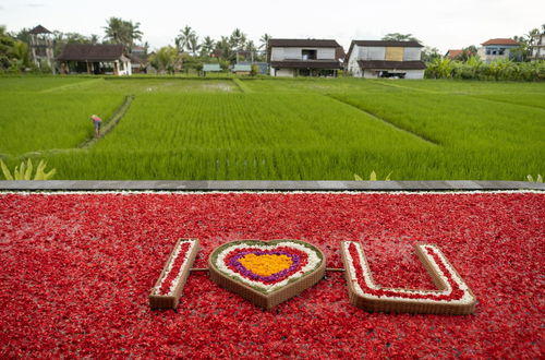 Photo 42 - Airsania Ubud Antique Villas