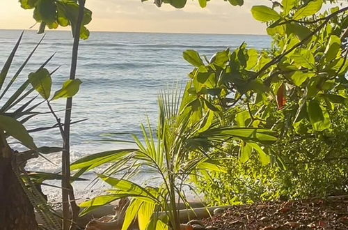 Photo 6 - Surrounded By Trees In Front Of The Sea