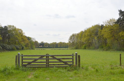 Photo 32 - Detached Cottage on Quiet Park