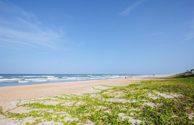 Ocean Palm Shore - Foto 22