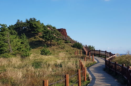 Photo 40 - Daejeong Pension