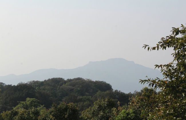 Ashok villa - Photo 13