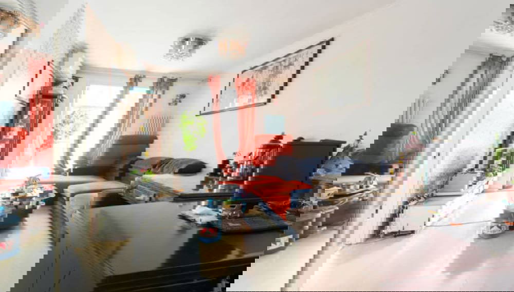 Imagem principal