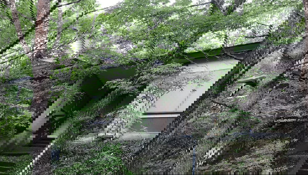 Image principale