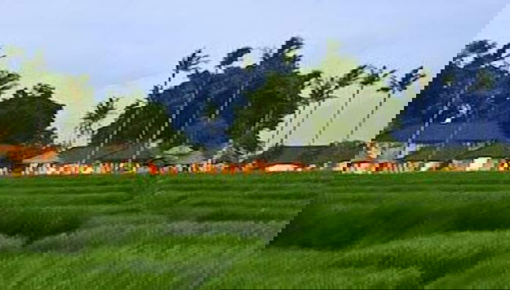 Imagem principal