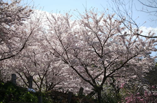 Photo 27 - Stay Omihachiman Ekimae Inn